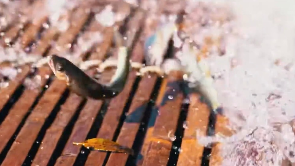 サイドギャラリー画像1